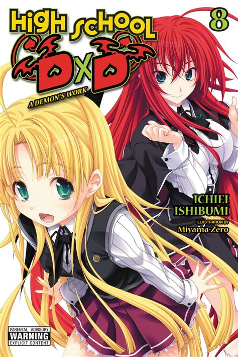 dxd novel